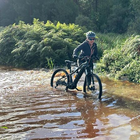 Mad About Saffron Lejlighed Stormsrivier Eksteriør billede